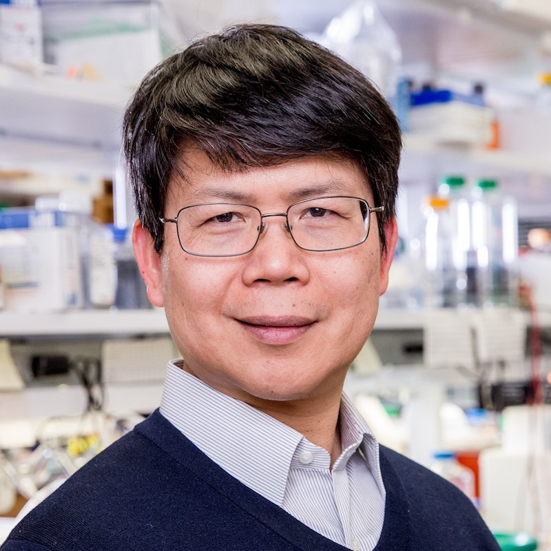 Zhijian Chen, Ph.D.
